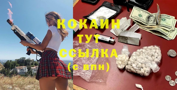 дживик Баксан