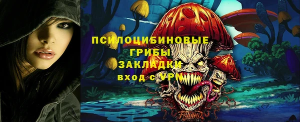 дживик Баксан