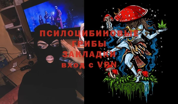 гашик Балахна