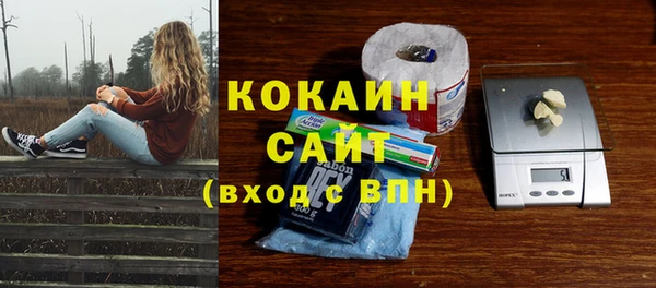 гашик Балахна