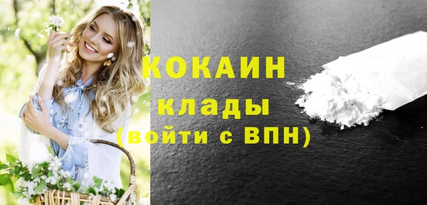 дживик Баксан