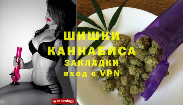 дживик Баксан