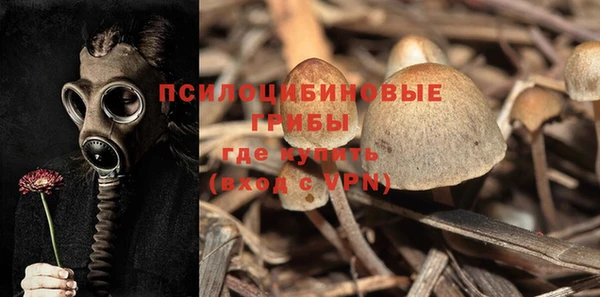 гашик Балахна