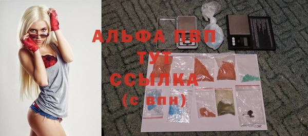 гашик Балахна