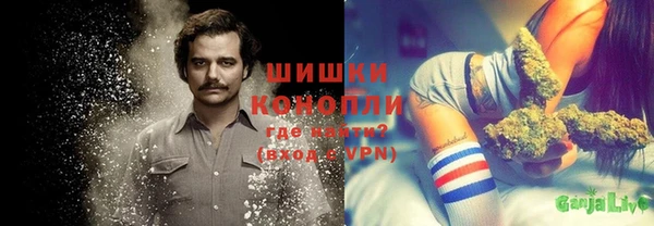 гашик Балахна