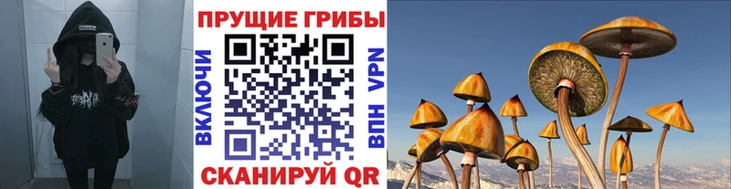 kraken маркетплейс  Урус-Мартан  Галлюциногенные грибы прущие грибы  закладка 